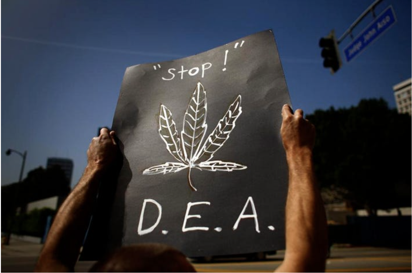 DEA Responds To Medical Marijuana Research Expansion Lawsuit